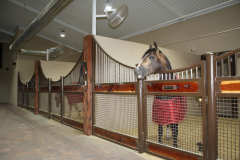 Stall Front No. 2M - Smiling in his Custom RNJ Stall!!