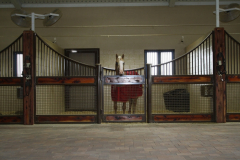 Stall Front No. 2N - "Wimpy's Little Step" enjoying his RNJ Stall!